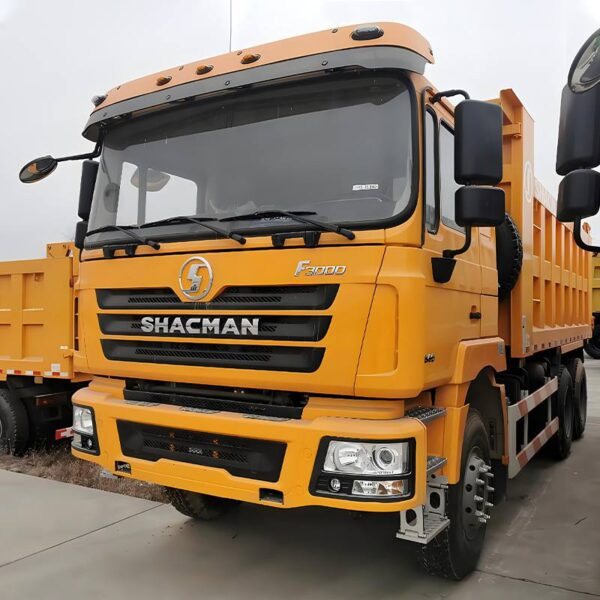 Dump Truck SHACMAN 1